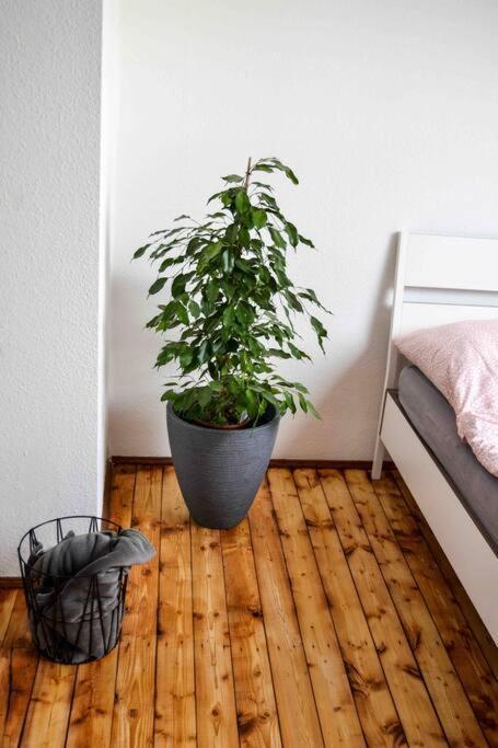 Schoene Dachgeschosswohnung Nahe Koeln Esterno foto